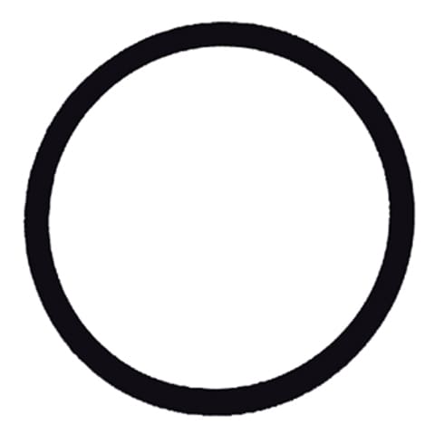 F79001 Compact Fuel Filter Replacement Viton O-Ring - Image 1